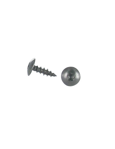 PARAFUSO dobradiça 6X30 rosca total TORX T30 Aço inoxidável A2 Preto