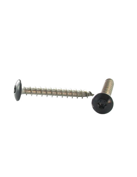 PARAFUSO dobradiça 6X50 roscado sobre 38 TORX T30 Aço inoxidável A2 lacado de preto RAL9005 preto escuro