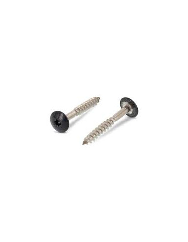 Parafusos rosca com cabeça de tremoço TORX T20 4,8X25 diâmetro da cabeça 12.3 Aço inoxidável A2 RAL7016 cinzento