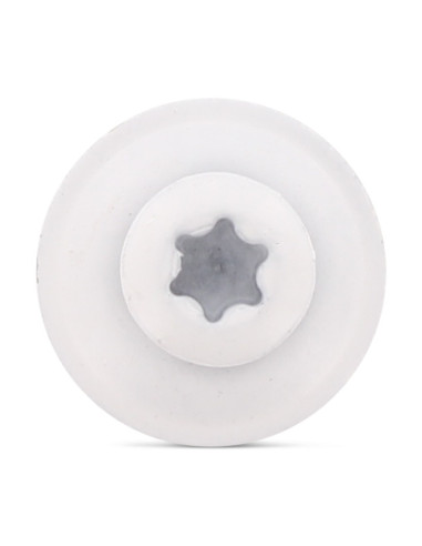 Parafuso para telhas cabeça fresada de panela TORX T20 Aço inoxidável A2 RAL9010 branco puro 4,5X120RD.EPDM