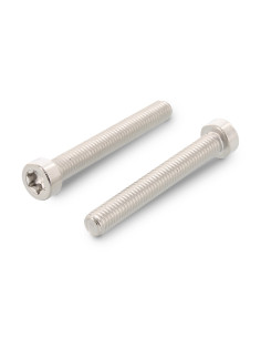 Parafuso de metais cabeça cilíndrica baixa TORX T30 M6X12 rosca total Aço inoxidável A2