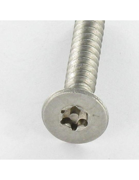Parafuso de chapa Seguro Aço inoxidável A2 cabeça fresada TORX T20 com pino 4,2 x 38