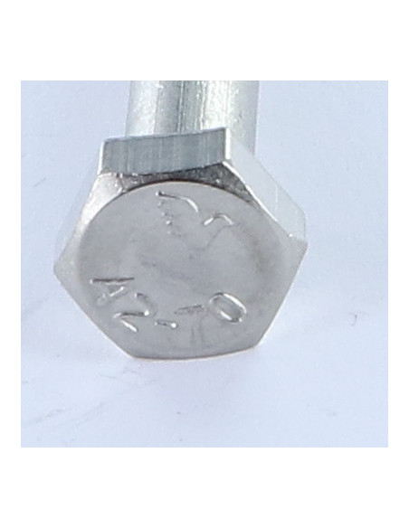 Corpo de parafuso Aço inoxidável A2 cabeça hexagonal M10X100