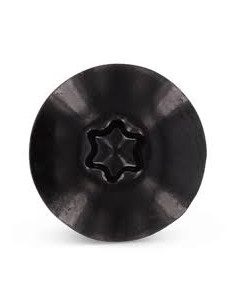 Parafusos rosca com cabeça de tremoço TORX T20 5,5 x 32 diâmetro da cabeça 12.3 Aço inoxidável A2 RAL9005 preto 2