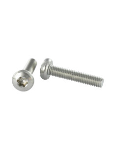 Parafuso de metais cabeça abaulada larga Aço inoxidável A2 M6X30 TORX T30