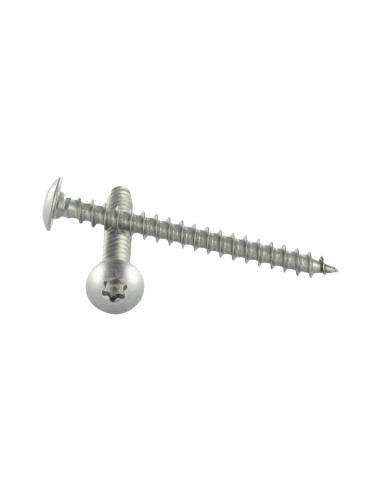 PARAFUSO dobradiça 6X20 TORX T30 rosca total Aço inoxidável A4