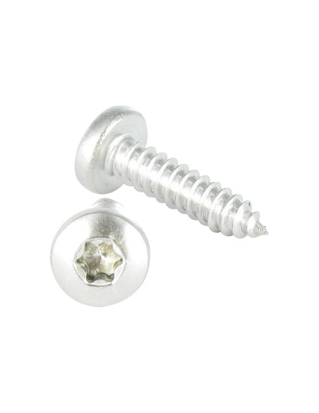 Parafuso de chapa cabeça abaulada larga 4,8X25 Aço inoxidável A2 TORX T25