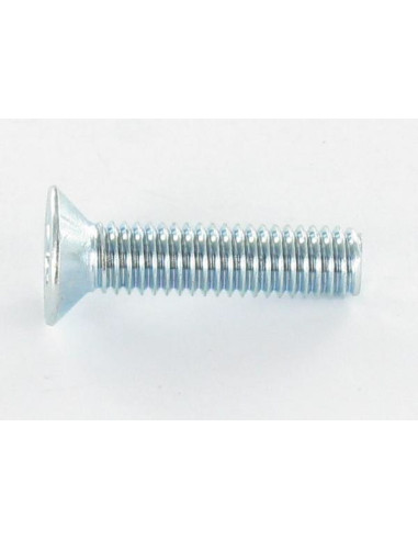 Parafuso de metais cabeça fresada TORX T20 M4X12 Classe 4.8 Aço zinco branco