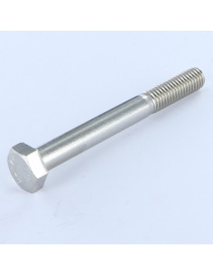 Corpo de parafuso cabeça hexagonal M6X60 Aço inoxidável A4