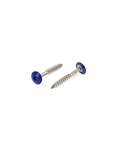 Parafusos rosca com cabeça de tremoço TORX T20 4,8 x 32 diâmetro da cabeça 12.3 Aço inoxidável A2 RAL5002