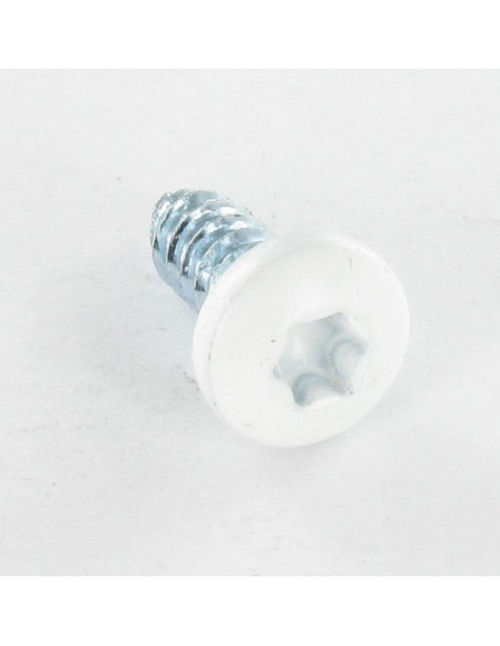 Parafuso de chapa cabeça cilíndrica dentado 6,3X16 TORX T30 Aço zinco branco RAL9016 branco de sinalização