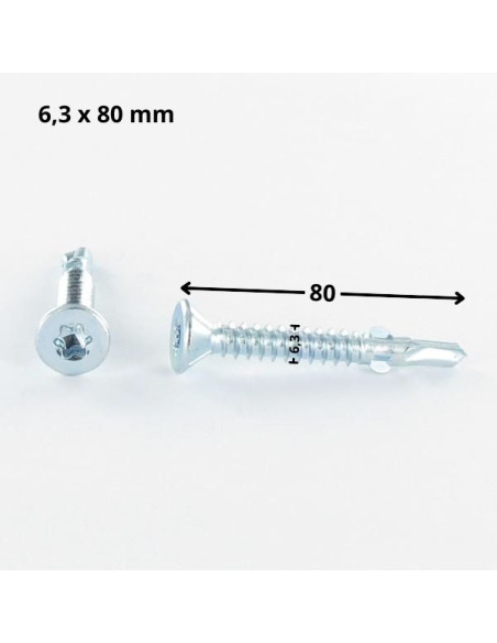 Autoperfurante cabeça fresada TORX T30 6,3X80 dentado com asas Aço zinco branco