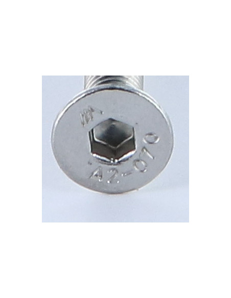 Parafuso de metais Aço inoxidável A2 cabeça fresada hexagonal oca FHC chave de 4 M6X50 rosca total