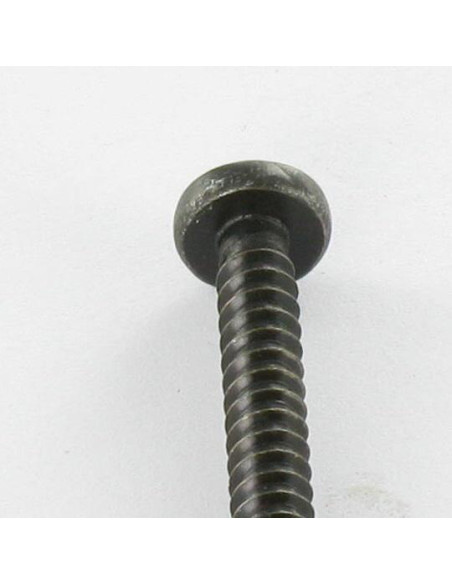 Parafuso de chapa Aço inoxidável A2 cabeça abaulada larga Pozi 4,2 x 38 Preto