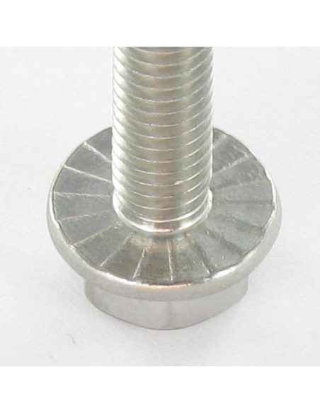 Parafuso de metais cabeça hexagonal flange com gola serrilhada M8X80 Aço inoxidável A4