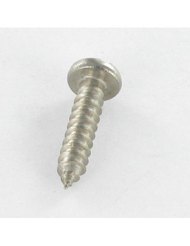 Parafuso de chapa Aço inoxidável A2 cabeça cilíndrica sulcada 2,9 x 13