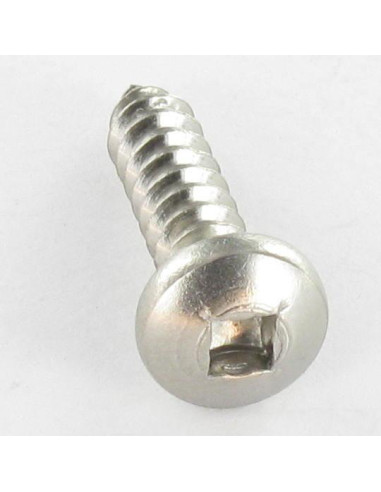 Parafuso de chapa cabeça cilíndrica quadrado 4,2 x 38 Parafuso com Cabeça com Fenda quadrada 2 Aço inoxidável A2