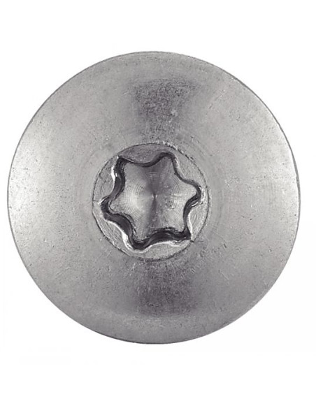 Parafusos rosca com cabeça de tremoço TORX T20 4,8X50 diâmetro da cabeça 12.3 Aço inoxidável A2