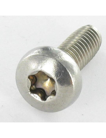 Parafuso autorroscante cabeça cilíndrica panela TORX T20 M4X25 Aço inoxidável A2