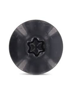 Parafusos rosca com cabeça de tremoço TORX T20 5,5 x 35 diâmetro da cabeça 12.3 Aço inoxidável A2 RAL7016 2
