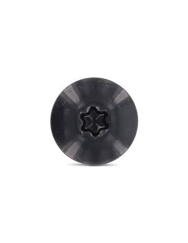 Parafusos rosca com cabeça de tremoço TORX T20 5,5 x 35 diâmetro da cabeça 12.3 Aço inoxidável A2 RAL7016