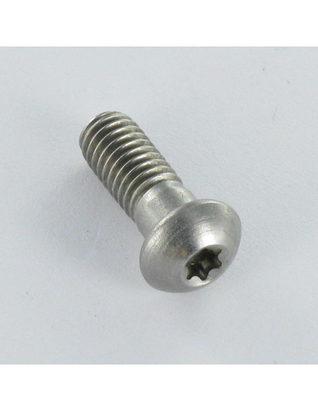 Parafuso de metais cabeça cilíndrica panela Aço inoxidável A2 M6X16 diâmetro da cabeça 10.3 TORX T20