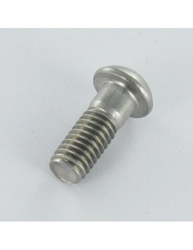 Parafuso de metais cabeça cilíndrica panela Aço inoxidável A2 M6X16 diâmetro da cabeça 10.3 TORX T20