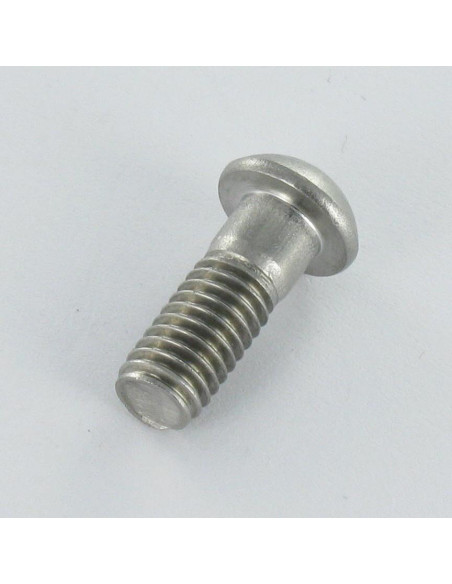 Parafuso de metais cabeça cilíndrica panela Aço inoxidável A2 M6X16 diâmetro da cabeça 10.3 TORX T20
