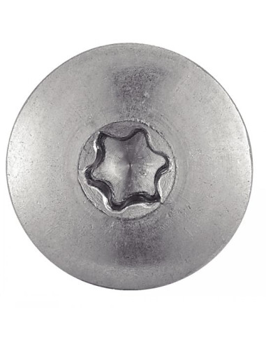 Parafusos rosca com cabeça de tremoço TORX T20 5,5 x 55 diâmetro da cabeça 12.3 Aço inoxidável A2