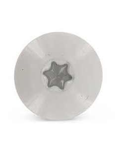 Parafusos rosca com cabeça de tremoço TORX T20 4,8X38 diâmetro da cabeça 12.3 Aço inoxidável A2 RAL7038 2