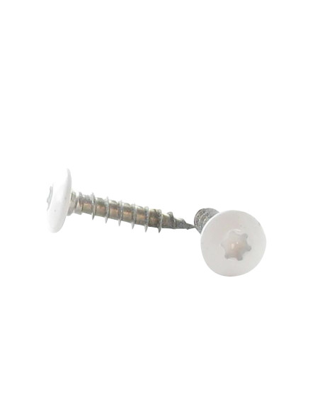 PARAFUSO dobradiça 7X45 roscado sobre 38 TORX T30 Aço inoxidável A2 lacado a branco RAL9010 branco puro