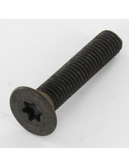 Parafuso de metais cabeça fresada TORX T30 M6X40 classe 10.9 Aço bruto