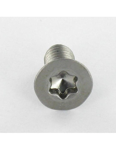 Parafuso de metais cabeça fresada TORX T30 M6X40 classe 10.9 Aço bruto
