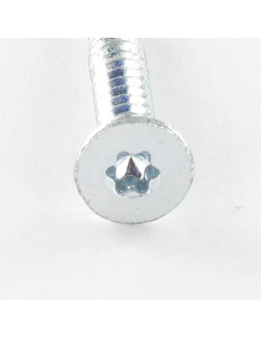 Autoperfurante Bimetal cabeça fresada dentado TORX T30 6,3X60