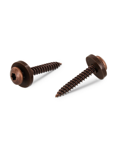Parafuso de chapa cabeça cilíndrica TORX T15 + Rondela Nylon 3,9X16 Aço inoxidável A2 castanho