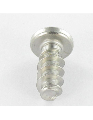 Parfuso de pvc cabeça abaulada larga 4X14 TORX T20 Aço inoxidável A2