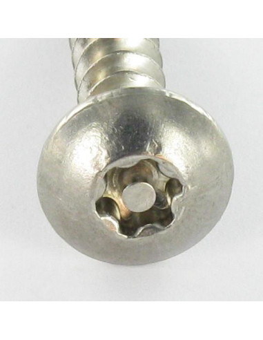 PARAFUSO dobradiça Seguro TORX T30 com pino 6X40 Aço inoxidável A2