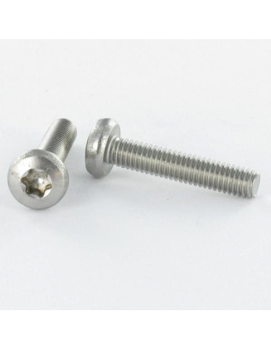 Parafuso de metais cabeça abaulada larga M6X40 TORX T30 Aço zinco branco
