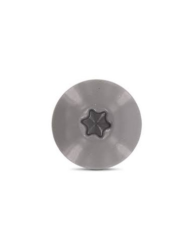 Parafusos rosca com cabeça de tremoço TORX T20 4,8X25 diâmetro da cabeça 12.3 Aço inoxidável A2 RAL7037