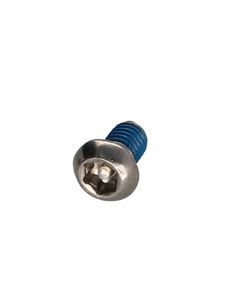 Parafuso de metais Aço inoxidável A2 Seguro cabeça panela TORX T30 com pino M6X10+ Freio roscado