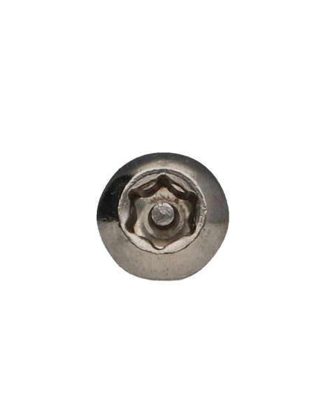 Parafuso de metais Aço inoxidável A2 Seguro cabeça panela TORX T30 com pino M6X10+ Freio roscado