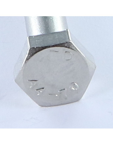 Corpo de parafuso cabeça hexagonal M6X55 Aço inoxidável A4