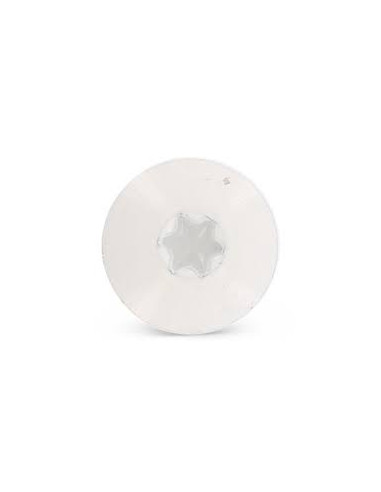 Parafusos rosca com cabeça de tremoço TORX T20 4,8 x 32 diâmetro da cabeça 12.3 Aço inoxidável A2 RAL9001 branco