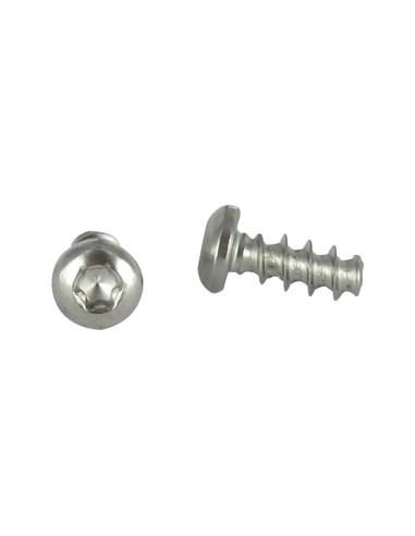 Parfuso de pvc cabeça abaulada larga 5X12 TORX T20 Aço inoxidável A2 diâmetro da cabeça 9,5