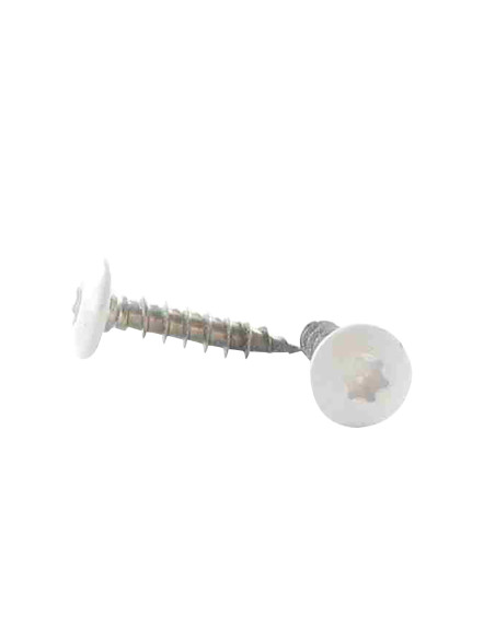 PARAFUSO dobradiça 6X40 roscado sobre 38 TORX T30 Aço inoxidável A2 LQBLC RAL9016 branco de sinalização