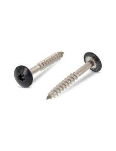 Parafusos rosca com cabeça de tremoço TORX T20 5,5 x 32 diâmetro da cabeça 12.3 Aço inoxidável A2 RAL7016