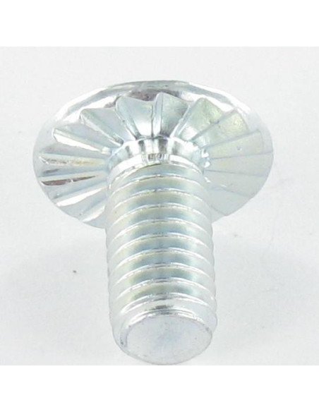 PARAFUSO cabeça de cogumelo Fenda Pozi M6X15 dentado Aço zinco branco