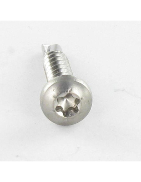 Autoperfurante cabeça cilíndrica panela TORX T15 3,9 x 13 Aço inoxidável A2