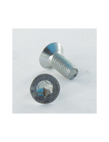 Parafuso autorroscante cabeça fresada TORX T20 M4X6 Aço inoxidável A2