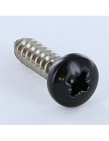 Parafuso de chapa Aço inoxidável A2 cabeça abaulada larga Pozi 4,8X19 RAL9005 preto escuro